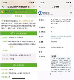 區(qū)塊鏈應(yīng)用遍地開花 30大場景落地引領(lǐng)商用時代加速到來